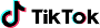 TikTok Ads